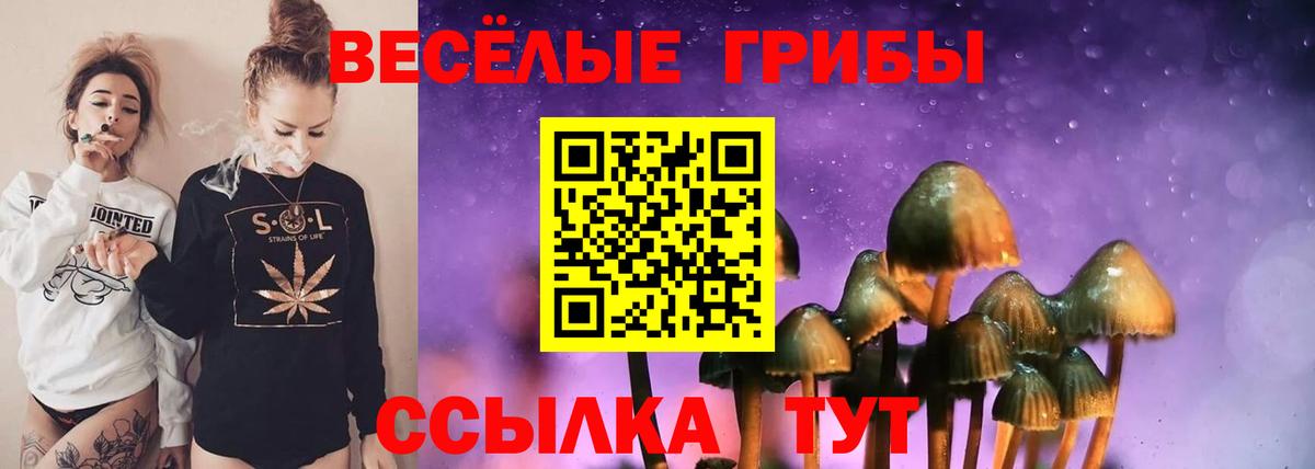 Псилоцибиновые грибы GOLDEN TEACHER  Вход с VPN  Тара 